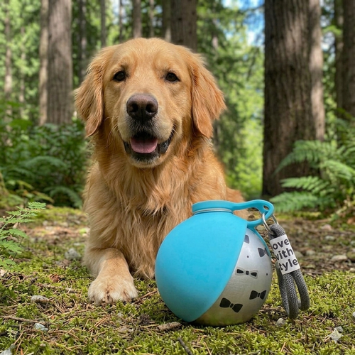 PatteNomade™ | Gourde Portable Anti-Fuite pour Chien